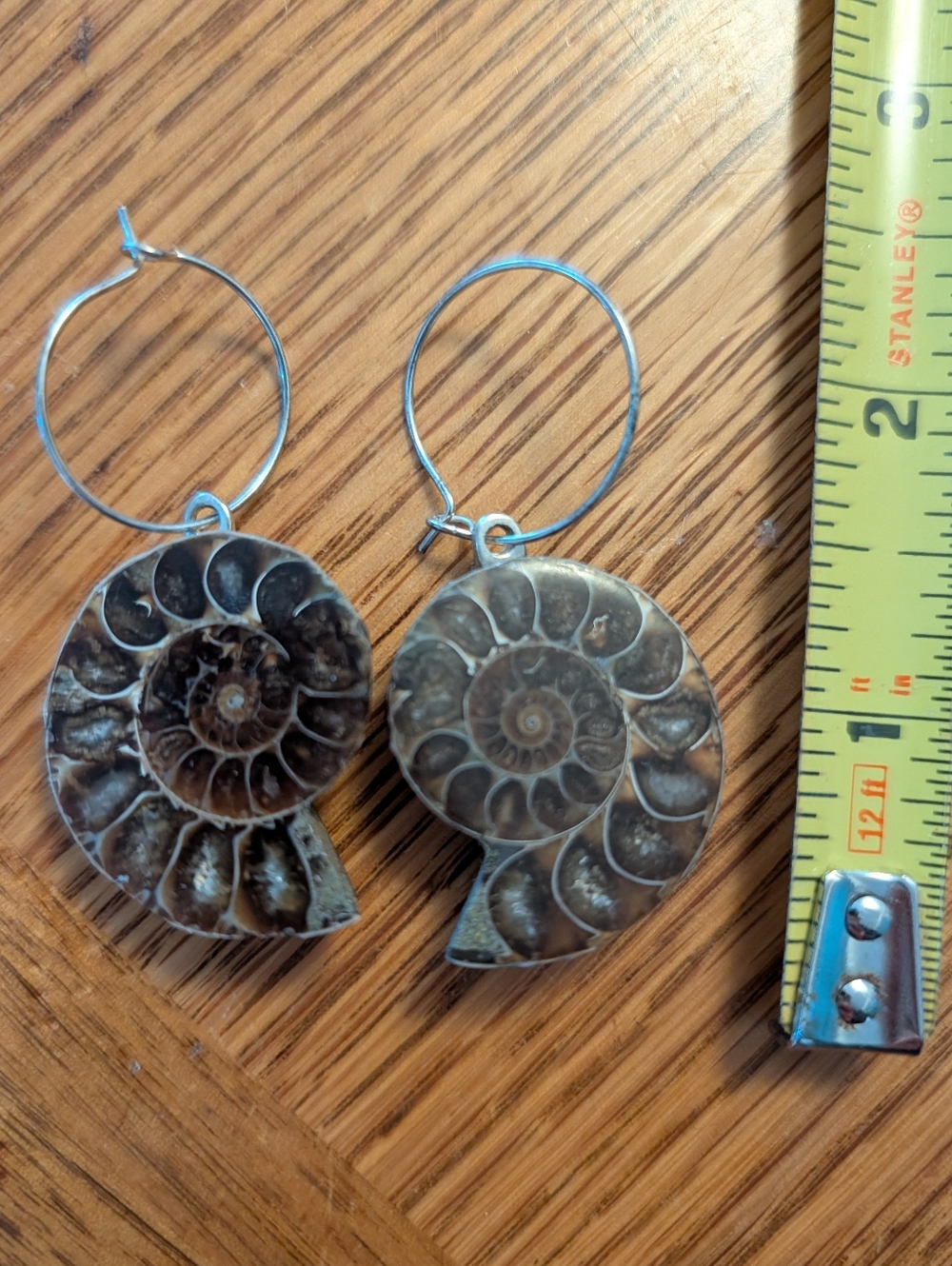 Ammonite Fossil Hoop Earrings - Natural Brown Shells